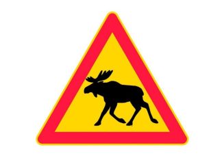 Beware of elk - Hirvivaara