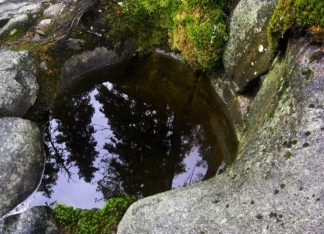 Wood in giant’s kettle – Puita hiidenkirnussa