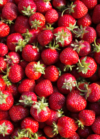 Strawberry and family - Mansikka ja perhe