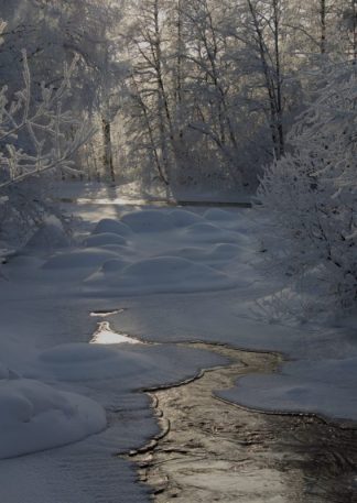 Winter light - Talven valoa