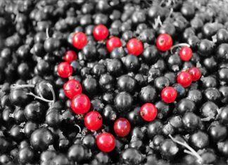 Red berry heart