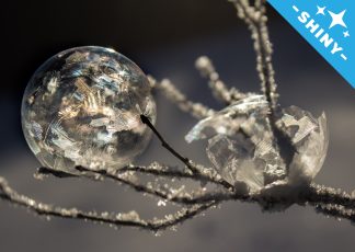 Ice shells