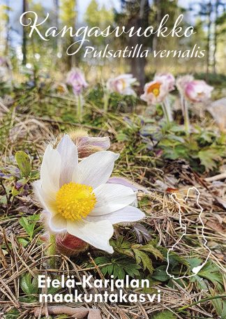 Maakuntakasvi kangasvuokko