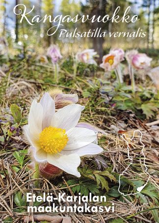 County flower Spring Pasqueflower
